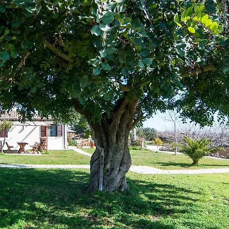 Don Ignazio Farm stay Casale Modica